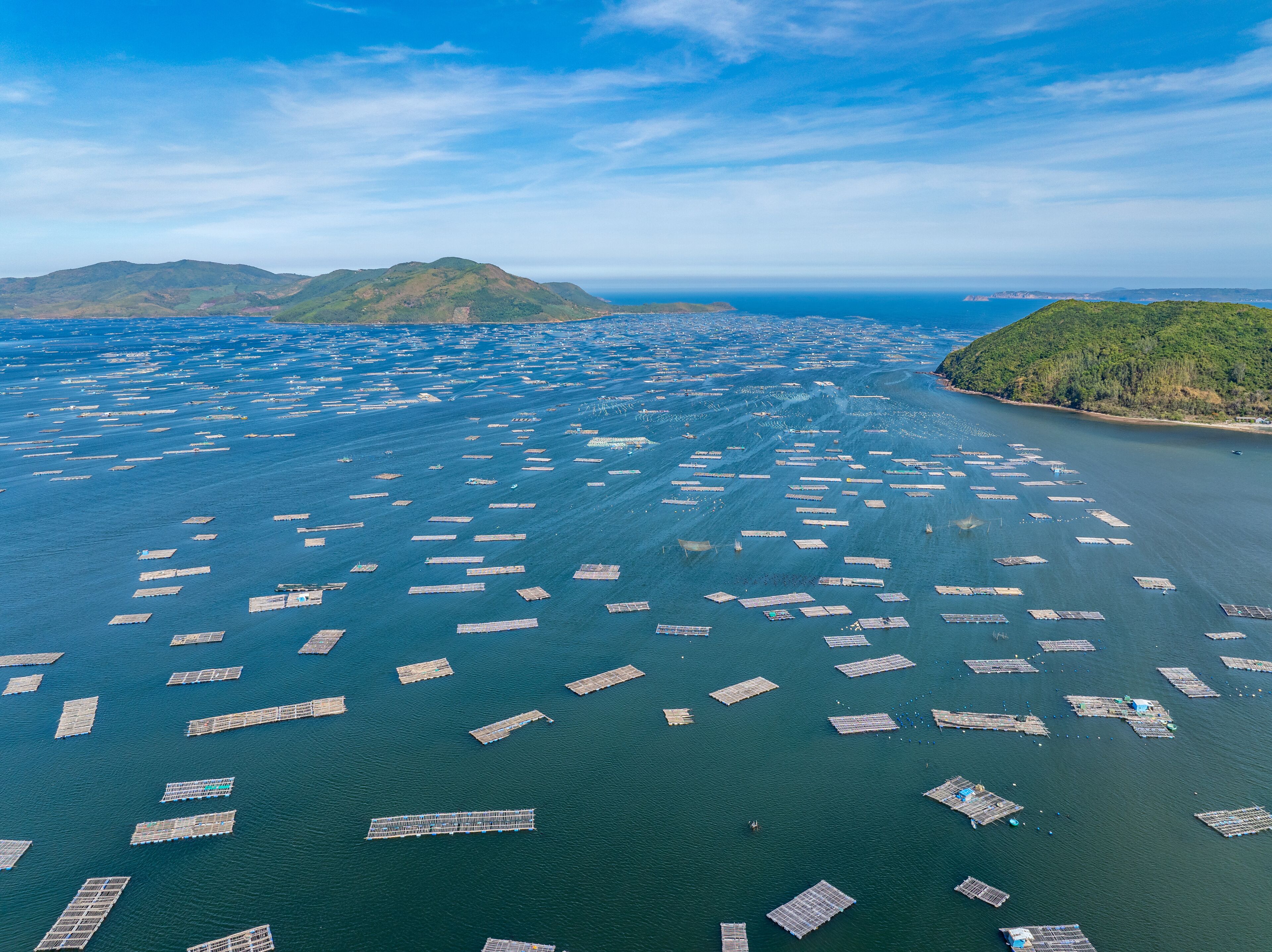 An aerial view of a large body of water with numerous floating structures, likely used for aquaculture, surrounded by hills and a clear sky.