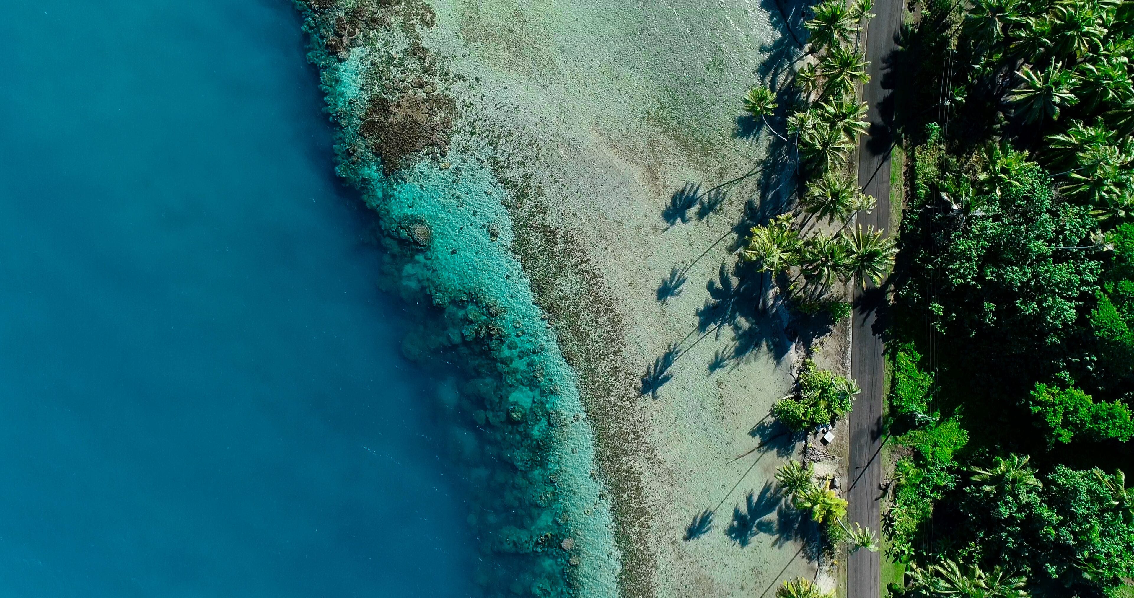 A coastal area with clear turquoise waters, a sandy beach, and a road lined with palm trees.