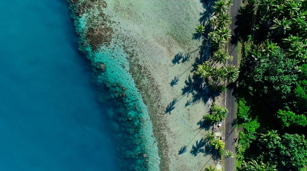 A coastal area with clear turquoise waters, a sandy beach, and a road lined with palm trees.