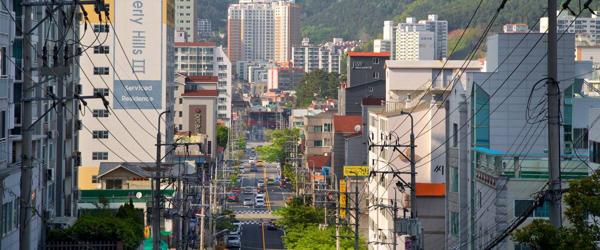 A cityscape with tall buildings, a mountain in the background, and a street with cars.