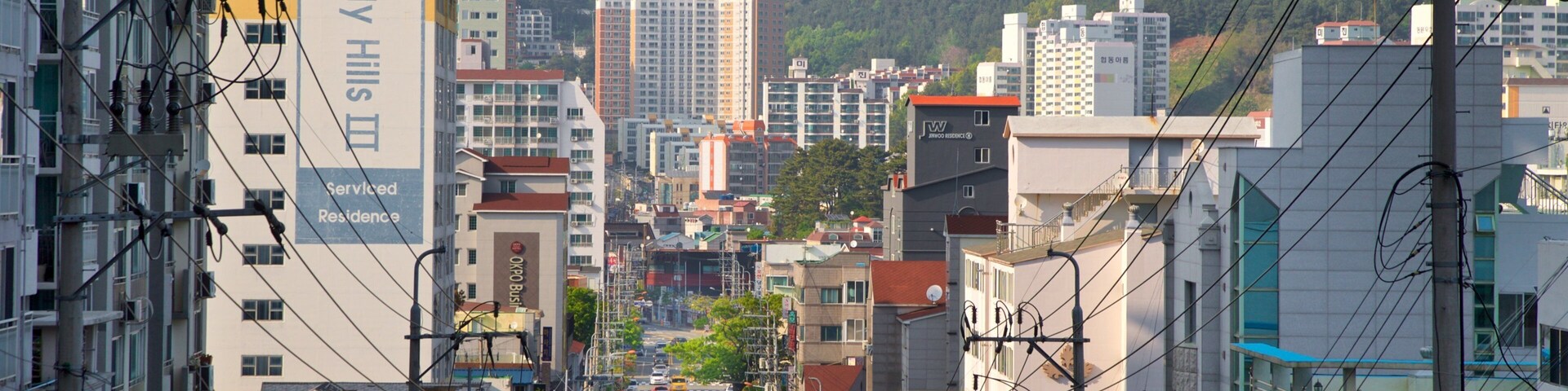 A cityscape with tall buildings, a mountain in the background, and a street with cars.