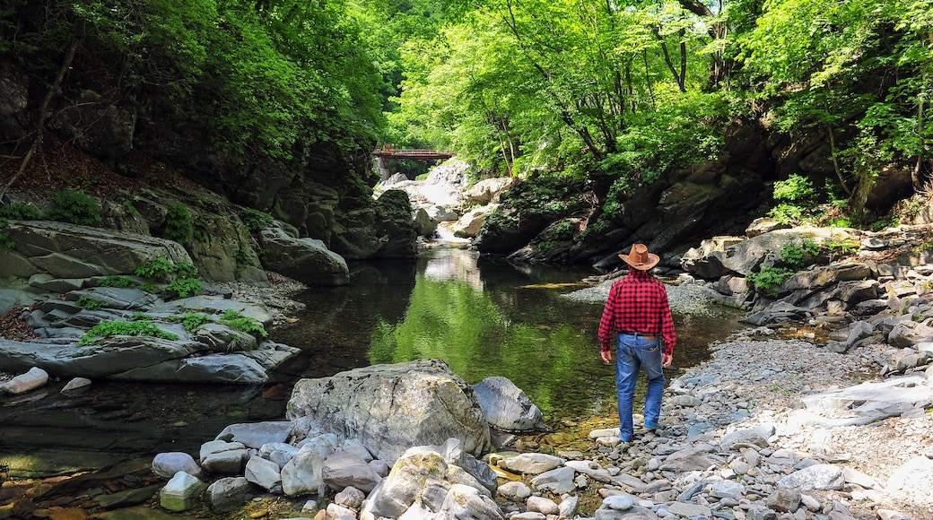 Danimgol valley in Jeongseon-gun, Gangwon-do, South Korea