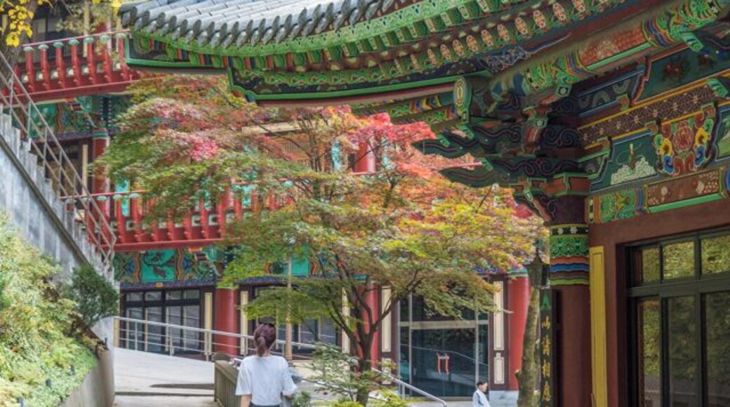 Guinsa Temple, located near Dan-yang, South Korea, is the headquarters of the Cheontae Order of Korean Buddhism which was founded in the 6th century.
Welcoming anyone who wants to make prayer and show devotion it can accommodate up to 10,000 people at a time.
Entering at the bottom, via the Iljoomun Gate, it is a a fairly step climb to the Great Teacher Hall at the top.