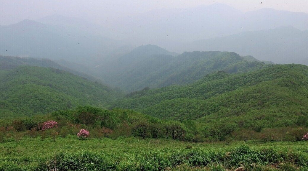 Sobaeksan in the mist. A great hike that is especially beautiful in the spring when the Azaleas are in full bloom.
