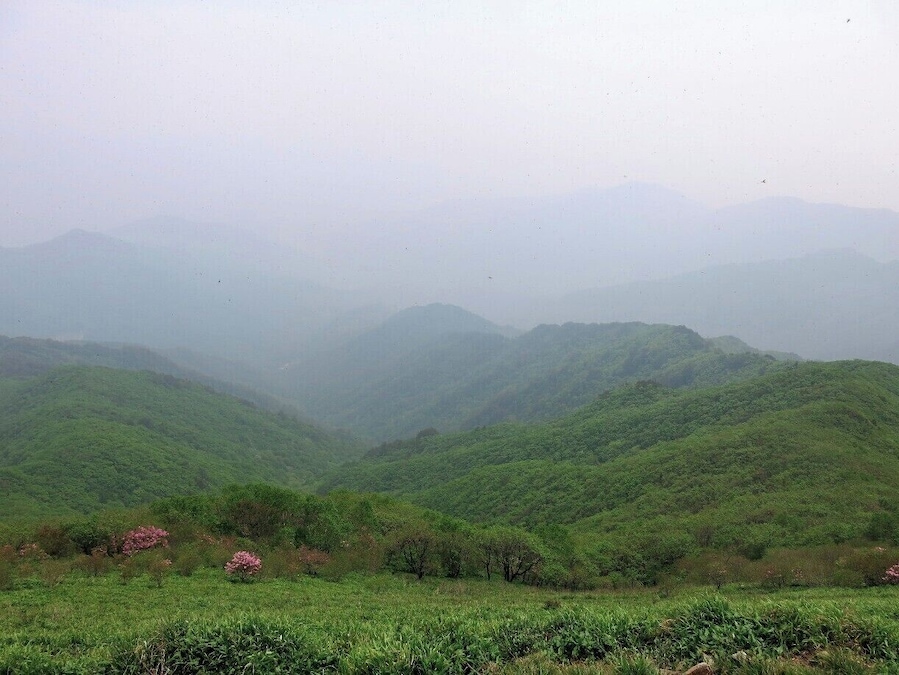 Sobaeksan in the mist. A great hike that is especially beautiful in the spring when the Azaleas are in full bloom.