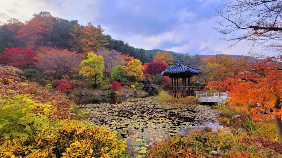 A traditional Japanese garden with a pond, colorful autumn foliage, and a pagoda.