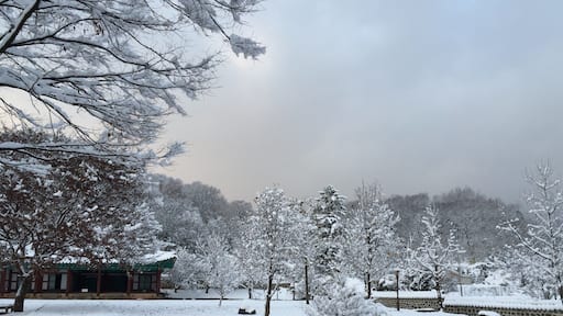 온주아문 및 동헌 - 눈내린 동헌