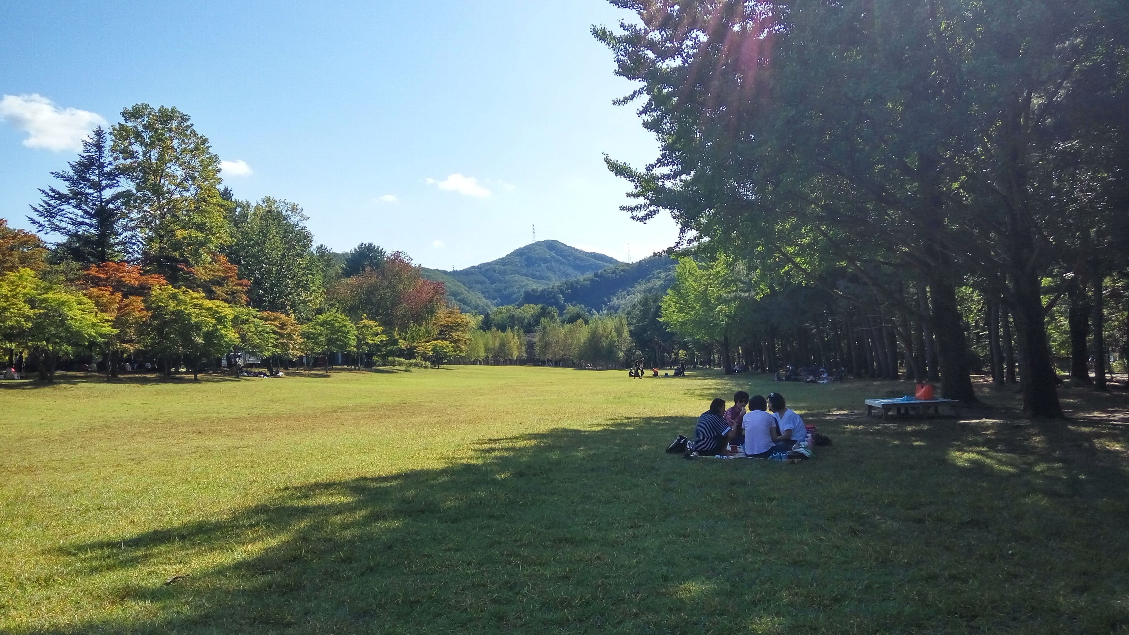 A park with a grassy field, trees, and a mountain in the background.