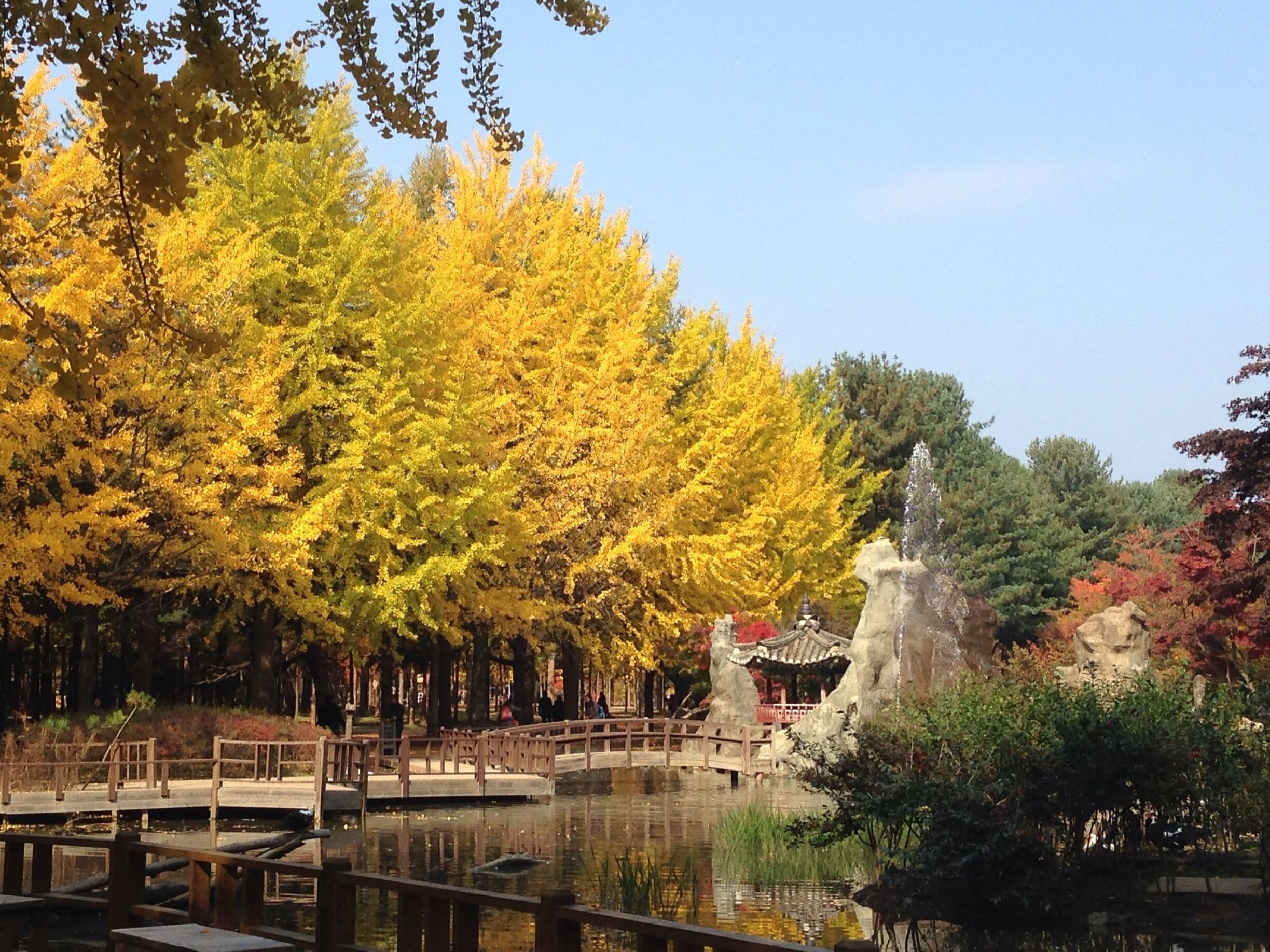 A park with a pond, a wooden bridge, and autumn-colored trees.