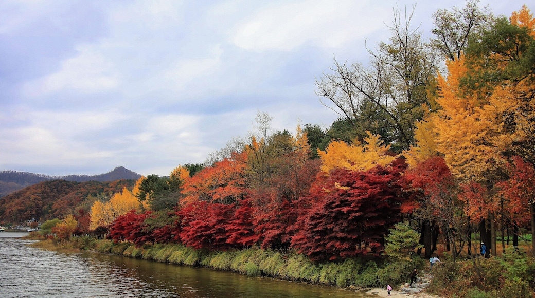 A beautiful island full with colourful autumn leaves