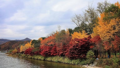 A beautiful island full with colourful autumn leaves