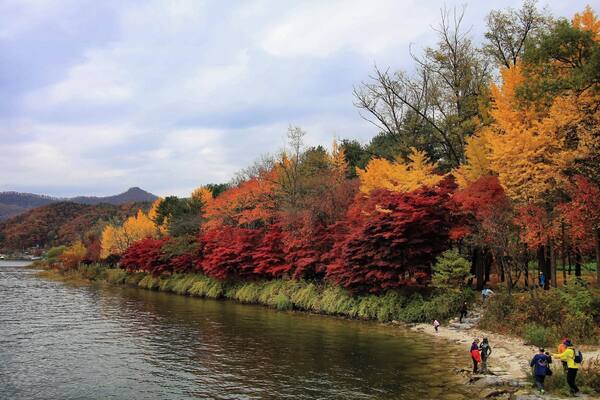 A beautiful island full with colourful autumn leaves