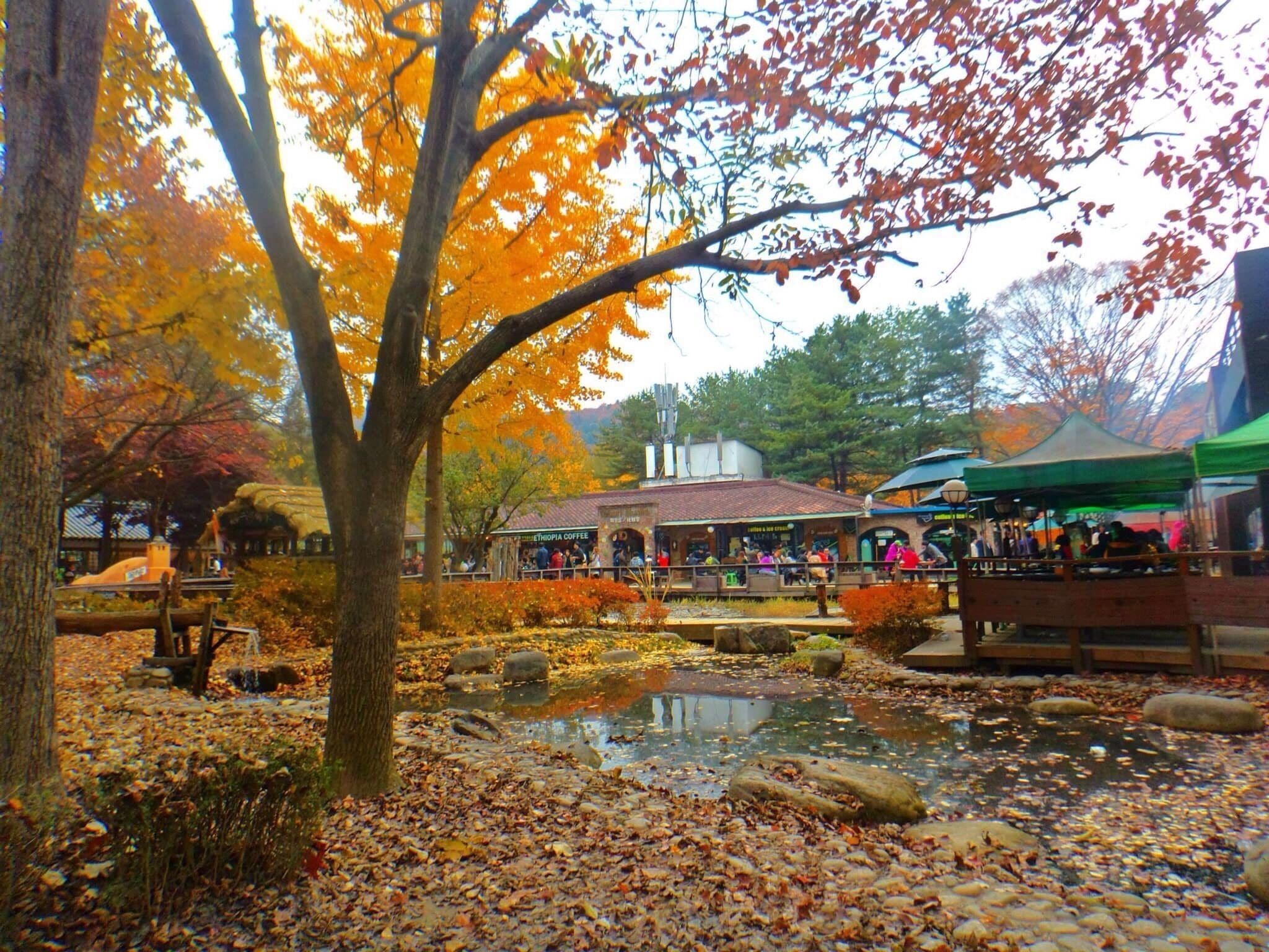 A park with autumn leaves, a pond, and a coffee shop.