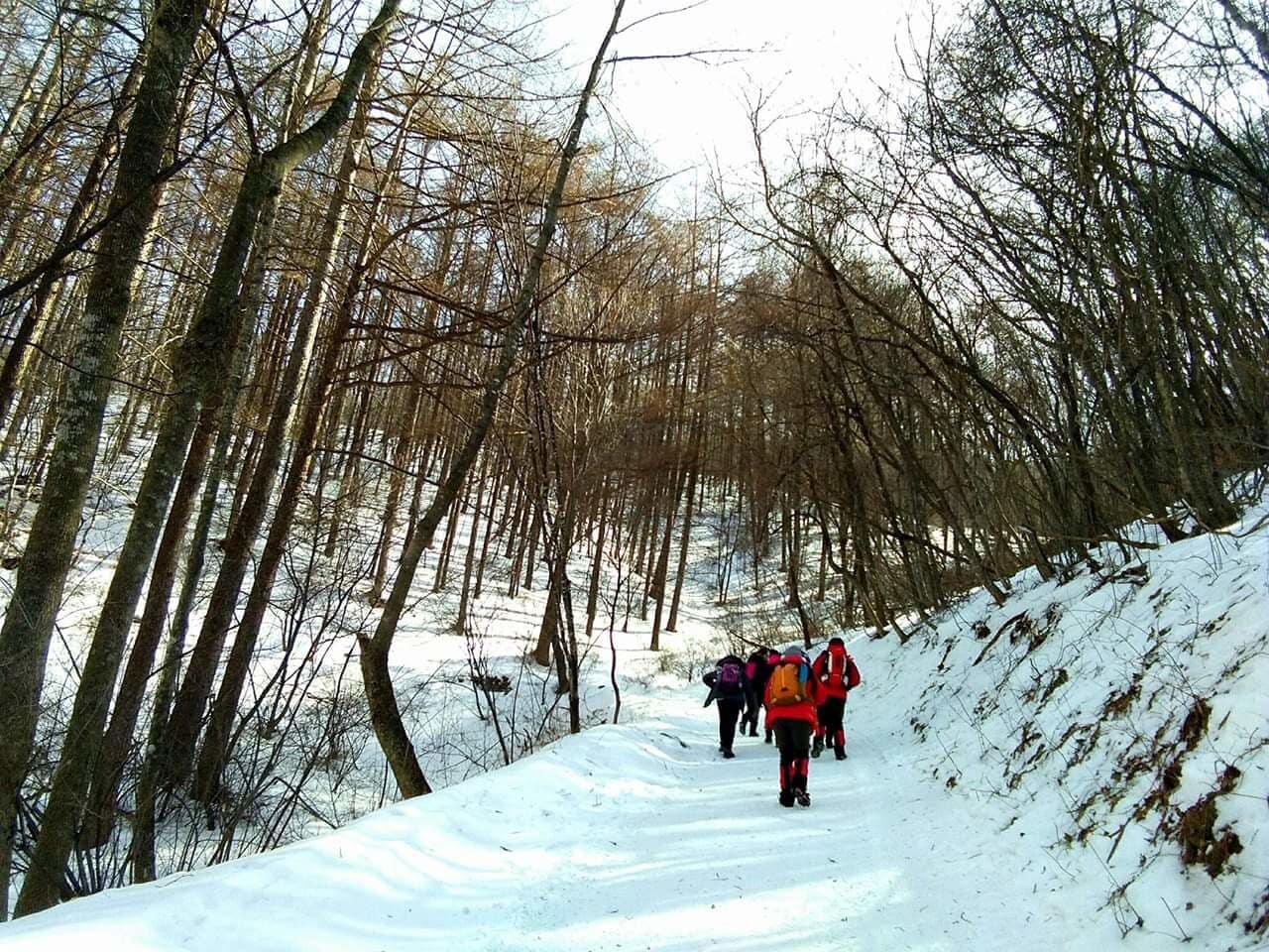 Started the hike at 8AM. I couldn't stop myself from taking pictures of the beautiful snow ❤️
