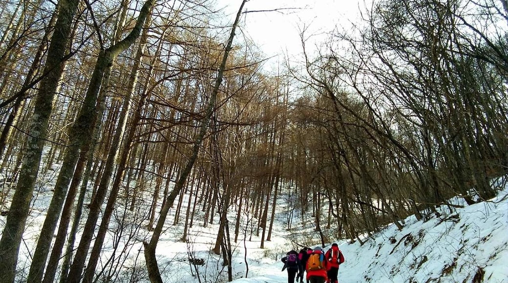 Started the hike at 8AM. I couldn't stop myself from taking pictures of the beautiful snow ❤️