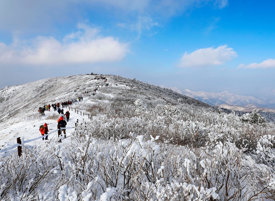 Taebaek-si, Gangwon-do, Korea - February 1, 2020: Hikers and snow covered top of the Taebaeksan Mountain