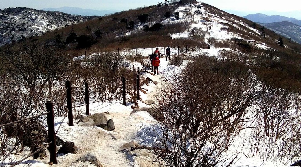 I thought I wouldn't make it since it was my first time hiking in such a very cold temperature. But hey! I did it! ❤️❄️