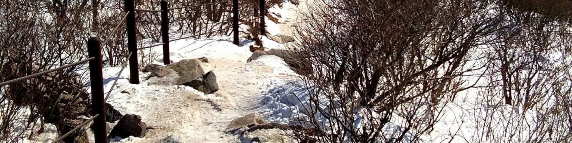 I thought I wouldn't make it since it was my first time hiking in such a very cold temperature. But hey! I did it! ❤️❄️