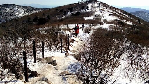 I thought I wouldn't make it since it was my first time hiking in such a very cold temperature. But hey! I did it! ❤️❄️