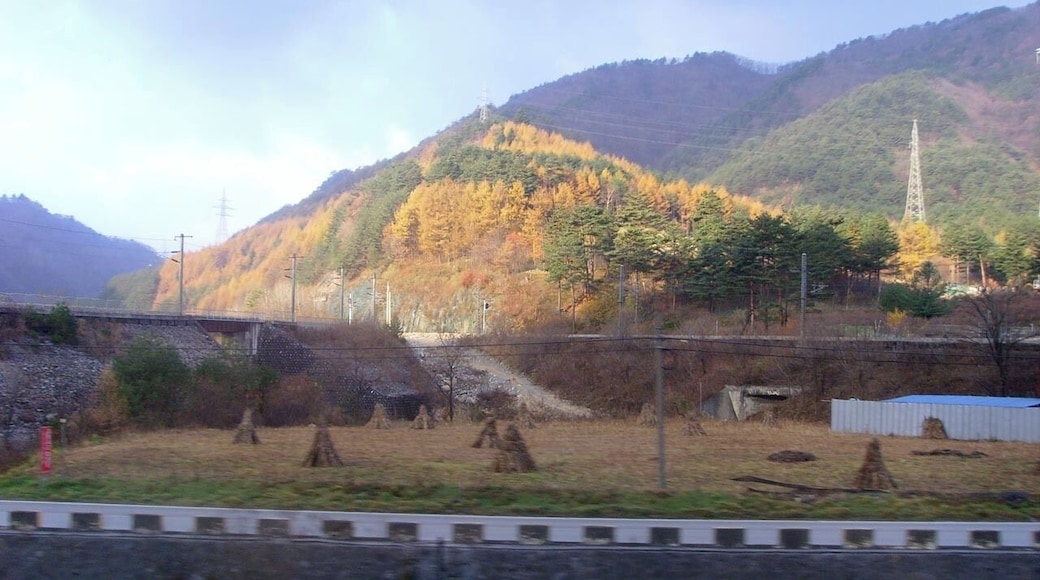 Taebaek Triangle Line (Yeongdong Line, Taebaek Line, Taebaek Direction)