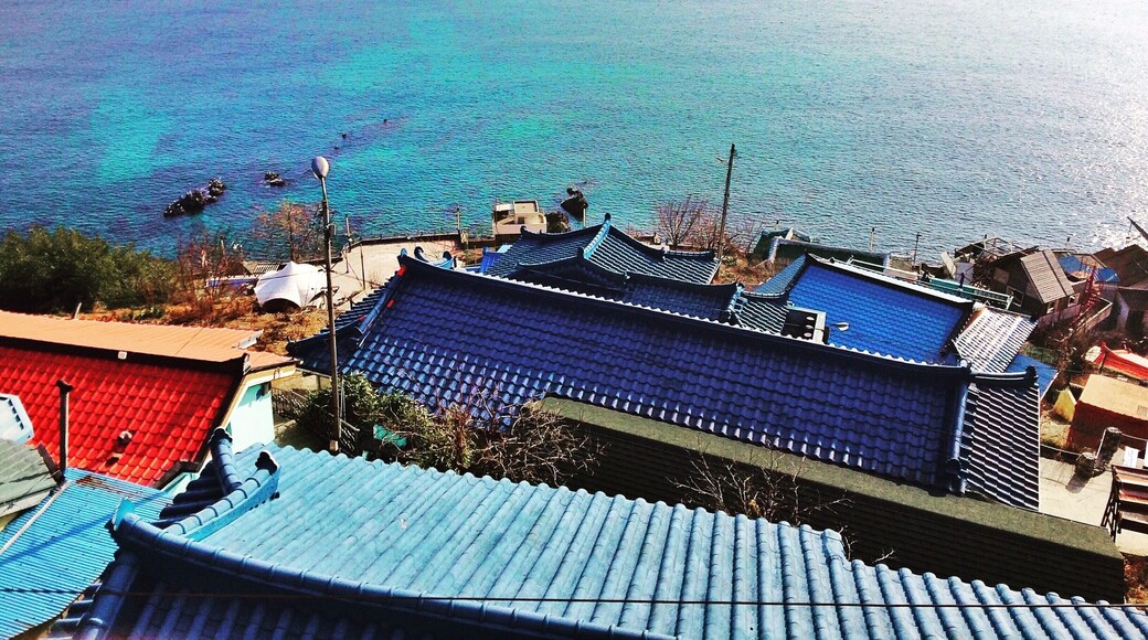 Blue roofs, Blue ocean