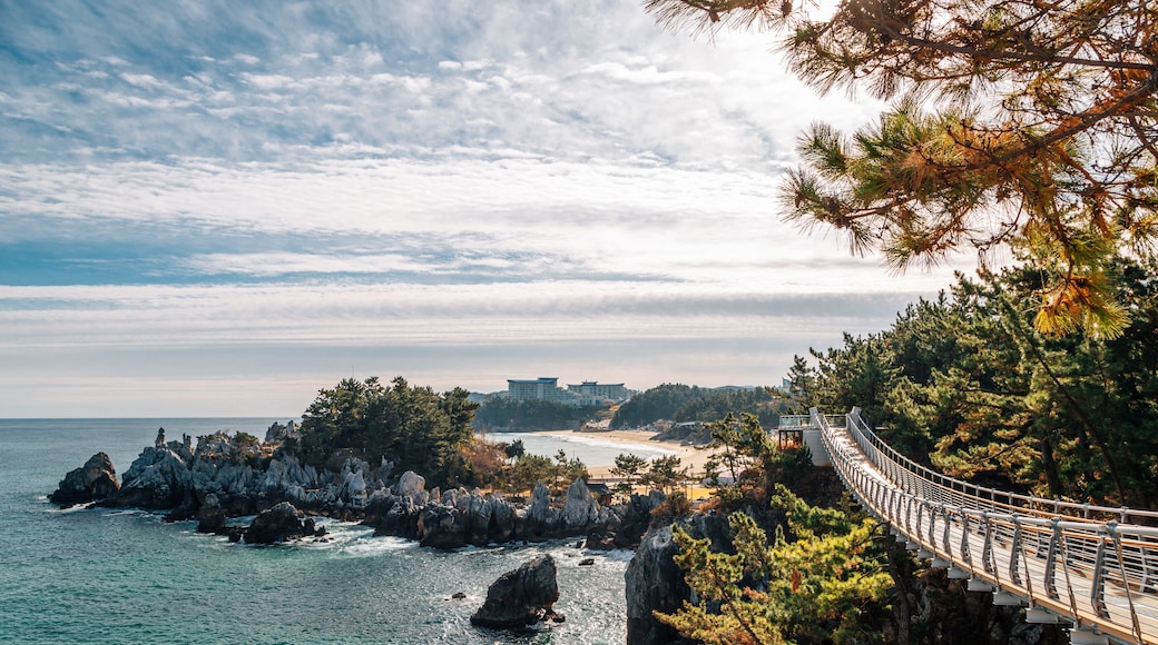 Panorama view of Chuam beach and rocks in Donghae, Korea