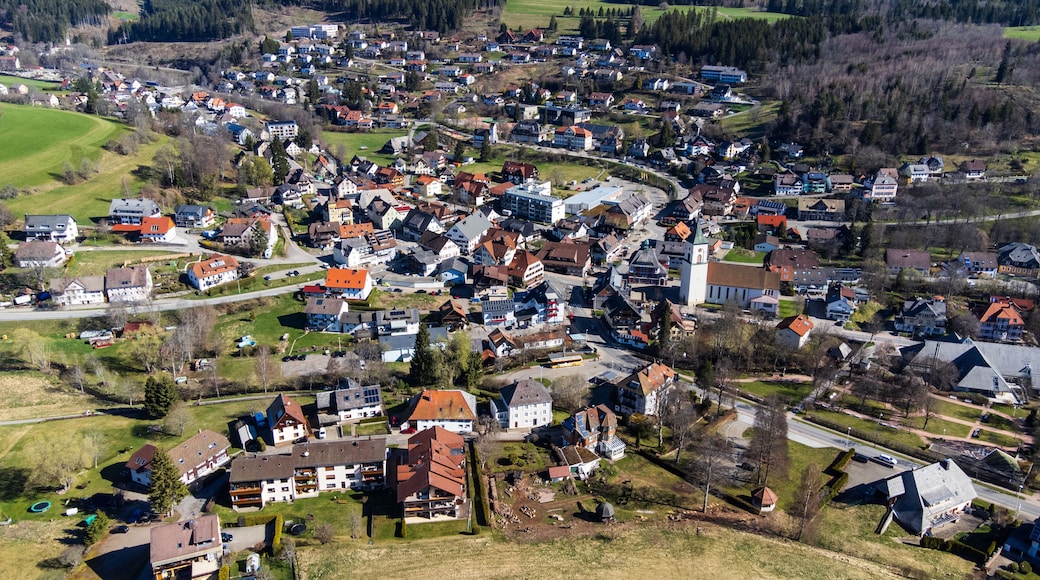 Lenzkirch
