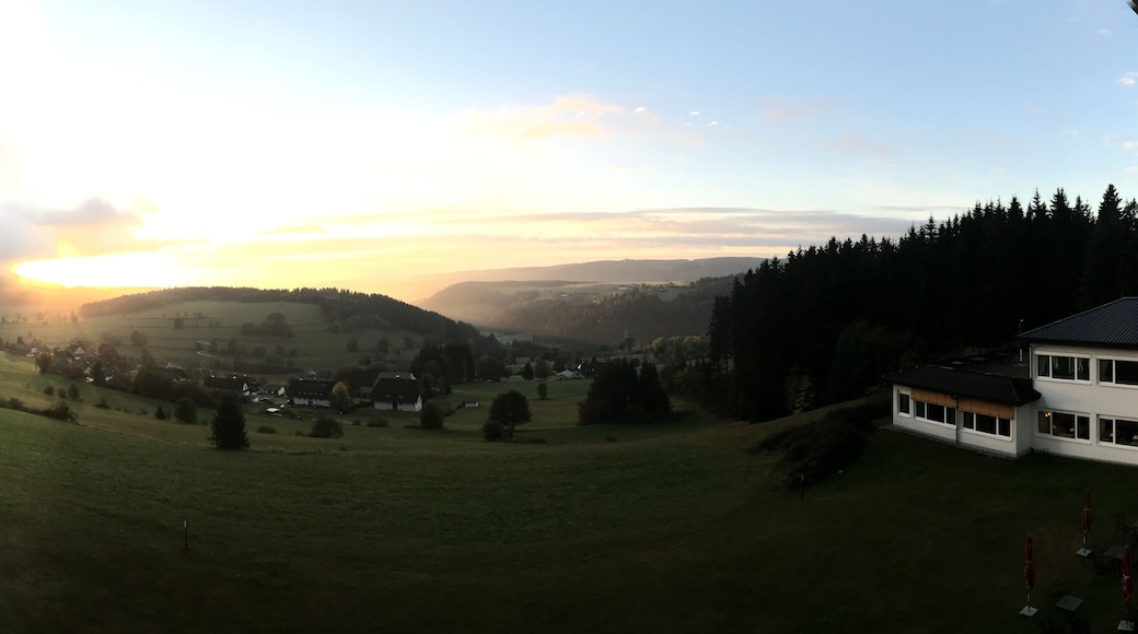 Panorama of #Golden Morning