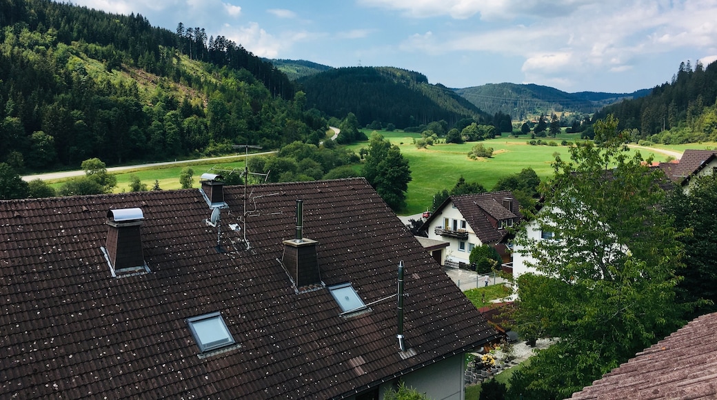 German fresh air two steps from the Black Forest. Make sure to bring some jackets even if you come in July or August because at night it gets pretty cold!
#LifeAtExpediaGroup