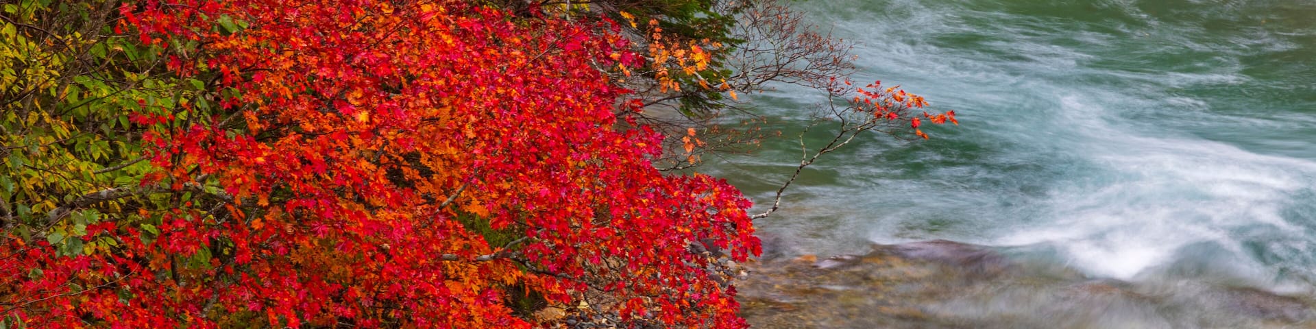 A river with red foliage and rocks.