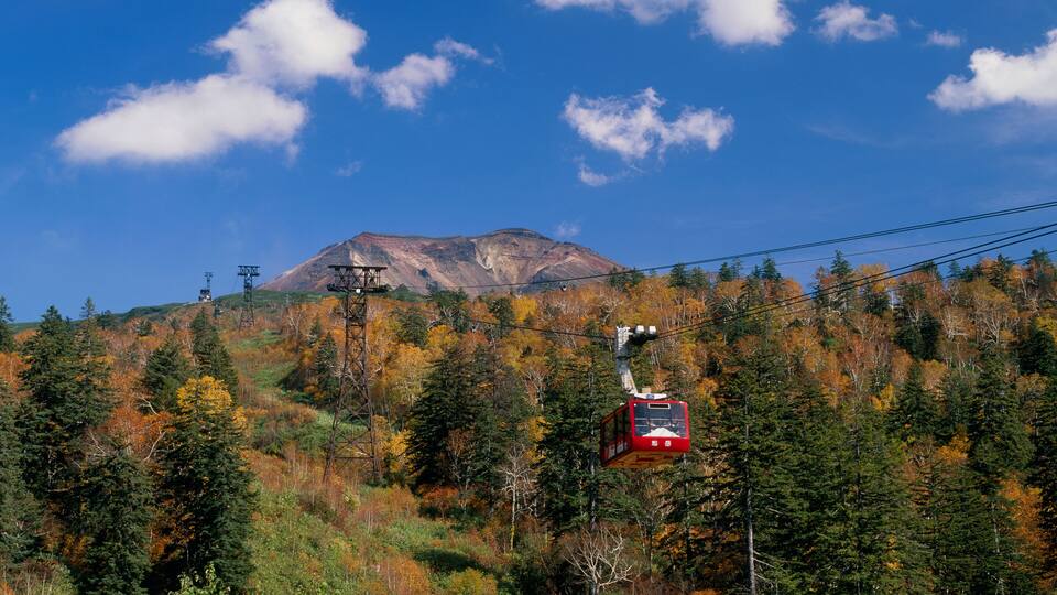 A cable car system in a forested area with autumn foliage and a mountain in the background.