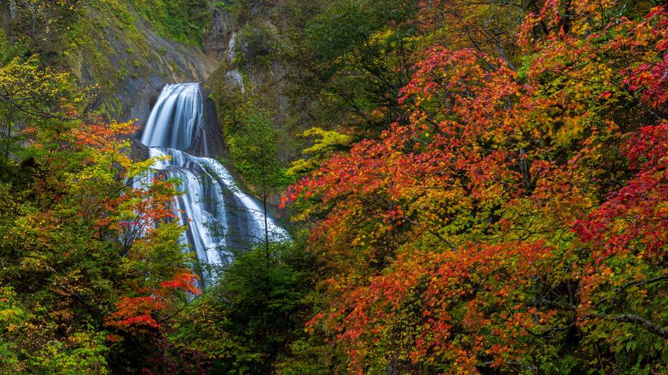 A waterfall surrounded by autumn foliage.