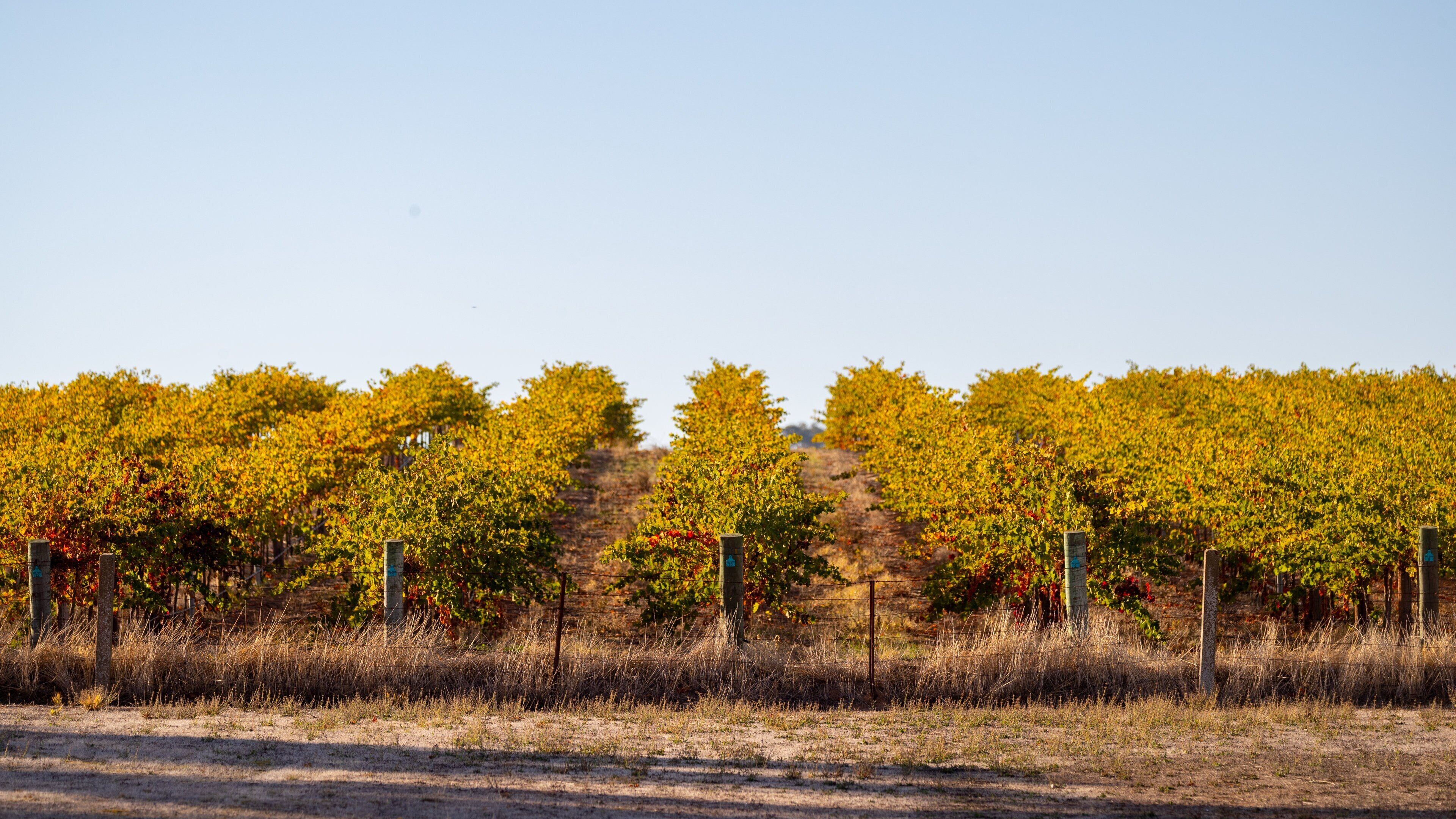 Greenock showing farmland