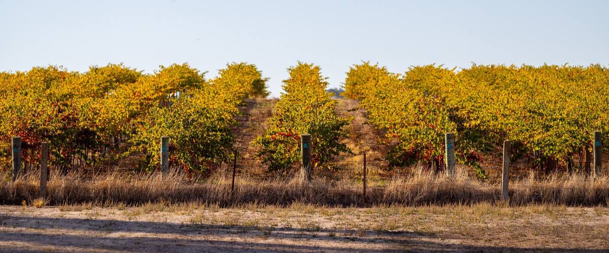 Greenock showing farmland