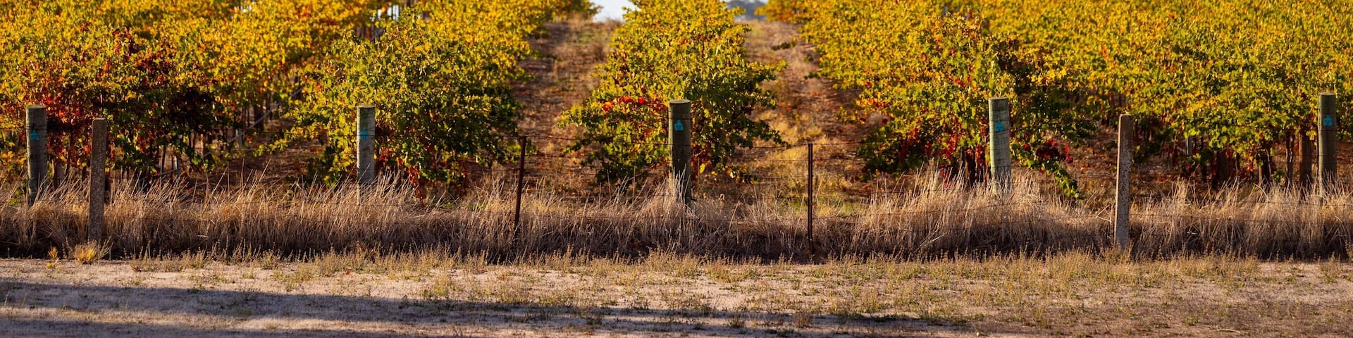Greenock showing farmland