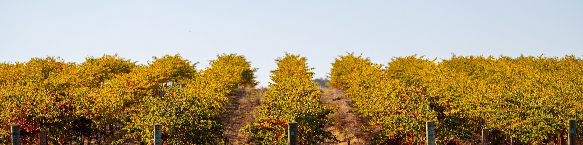 Greenock showing farmland