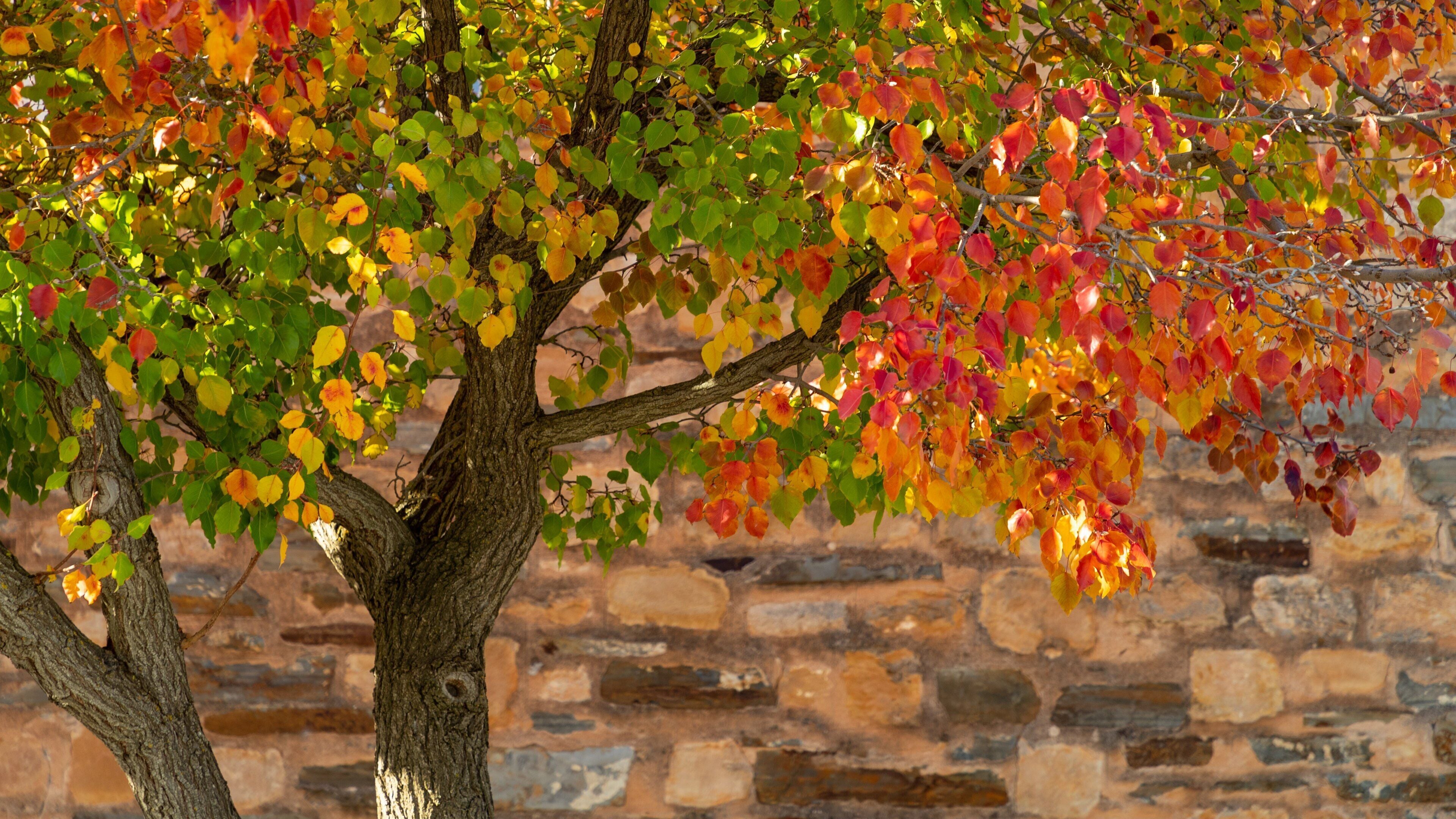 Greenock which includes a park