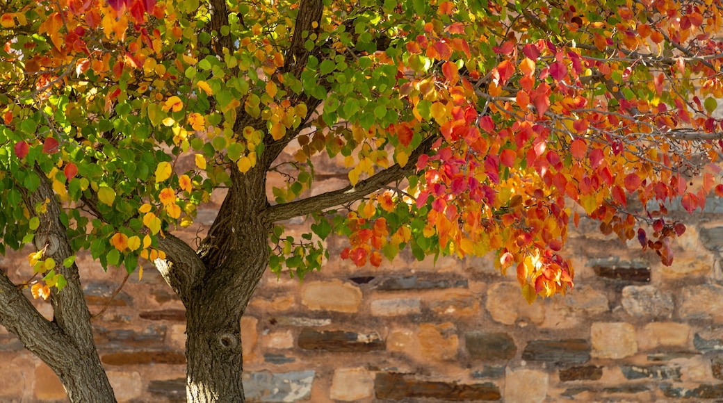 Greenock which includes a park