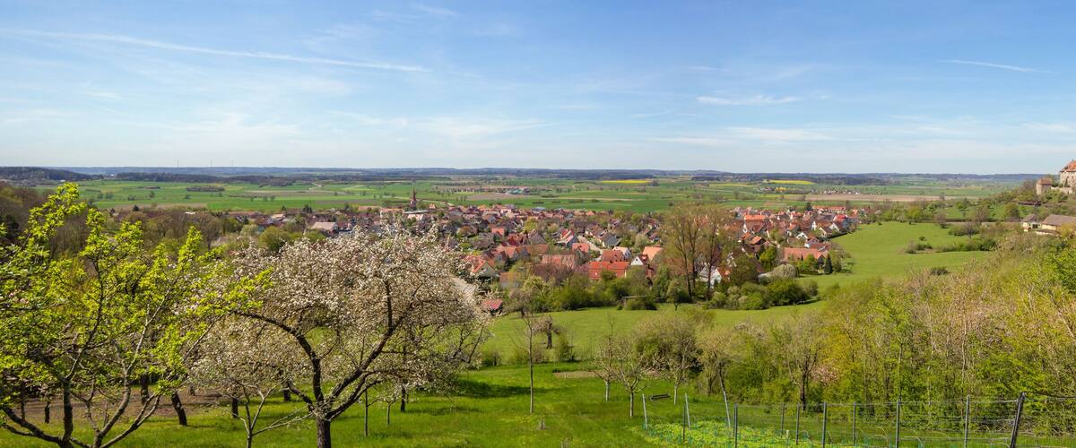 A village with red-roofed houses, a castle with a tower, and green fields.