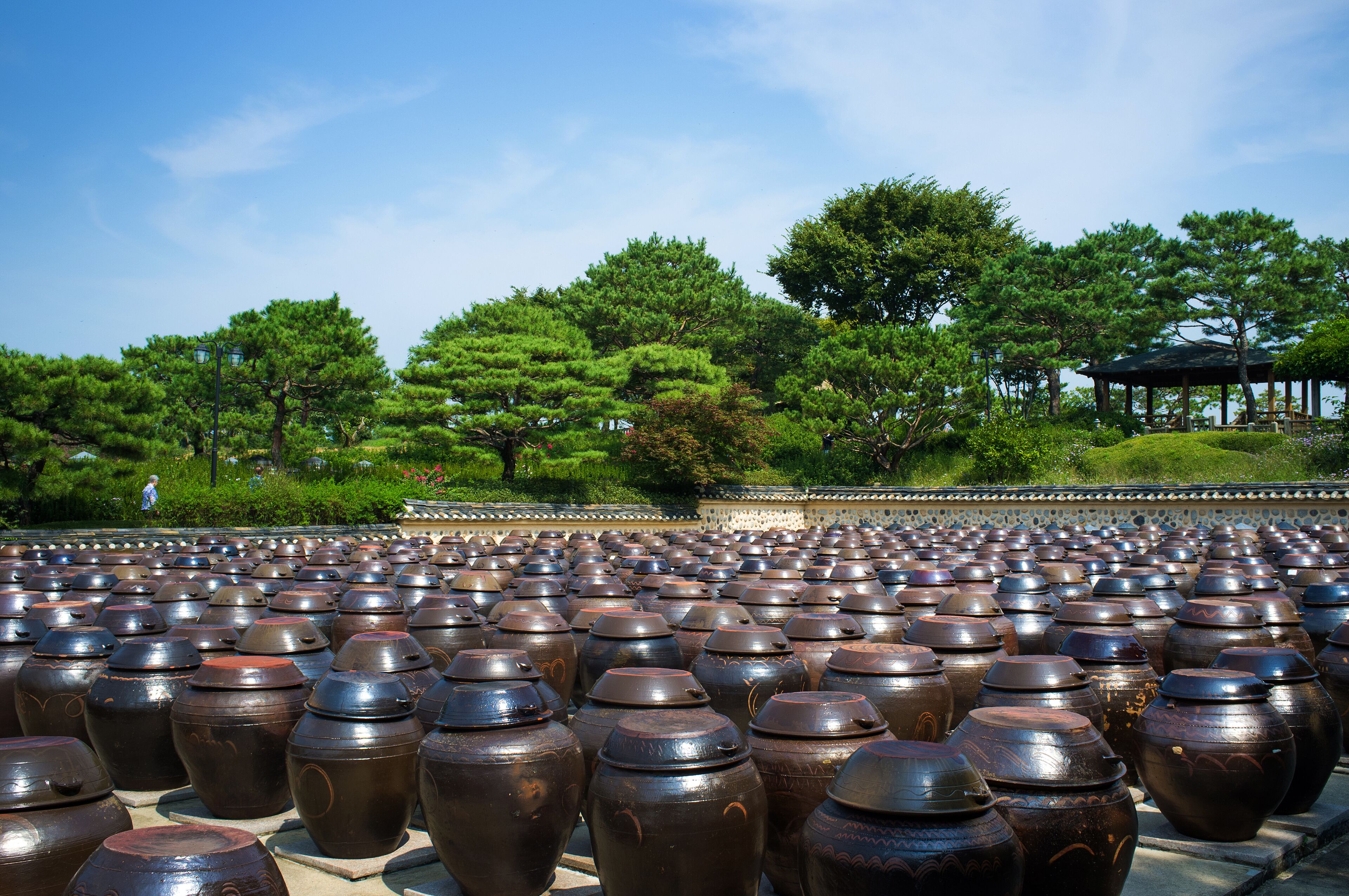 A large number of traditional ceramic pots arranged in rows in an outdoor setting with trees and a pavilion in the background.