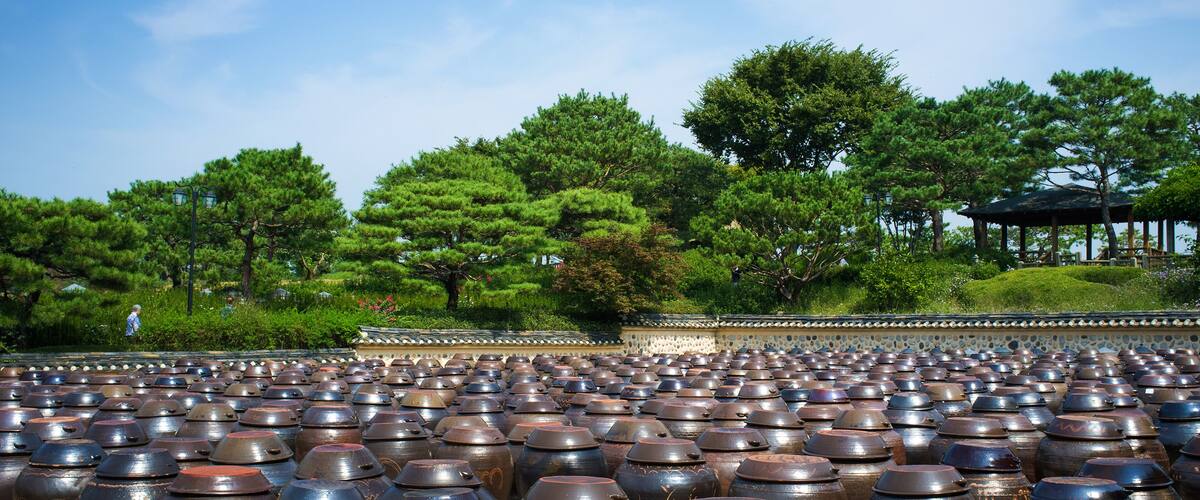 A large number of traditional ceramic pots arranged in rows in an outdoor setting with trees and a pavilion in the background.