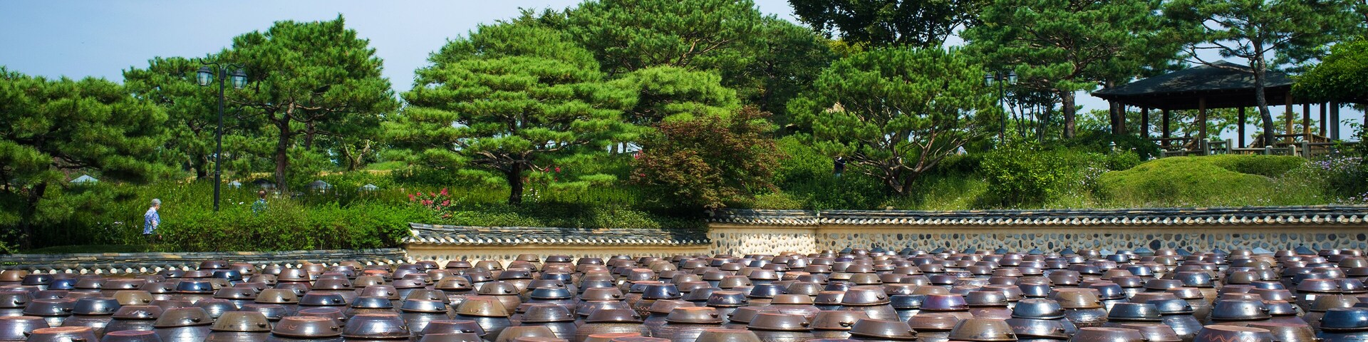 A large number of traditional ceramic pots arranged in rows in an outdoor setting with trees and a pavilion in the background.