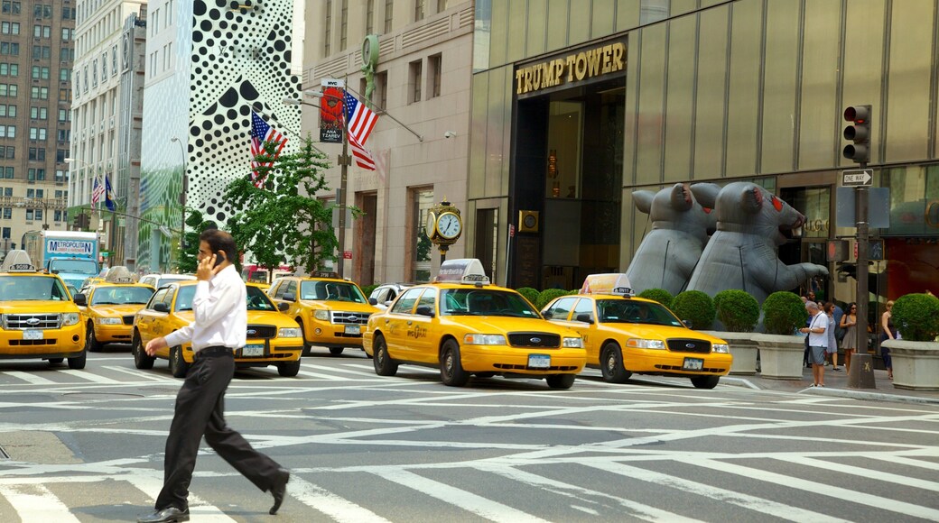 5th Avenue which includes a city and street scenes as well as an individual male