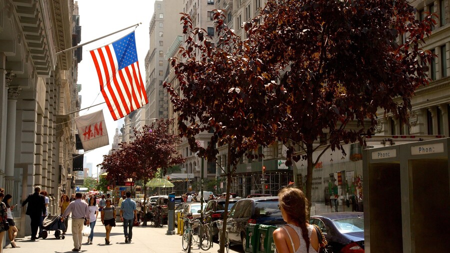 Đại lộ số 5 có tính năng thành phố và cảnh đường phố