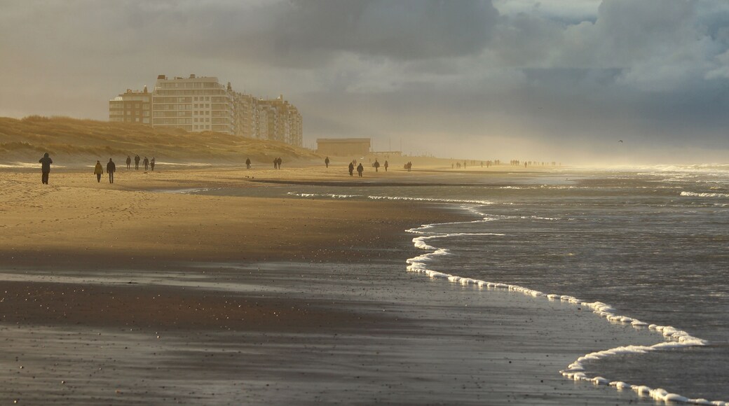 Golden sunllight shines through the brooding dark clouds, as people take a walk on a wintery Belgian Coast. Appartment blocks of Wenduine in West Flanders are visible in the background.