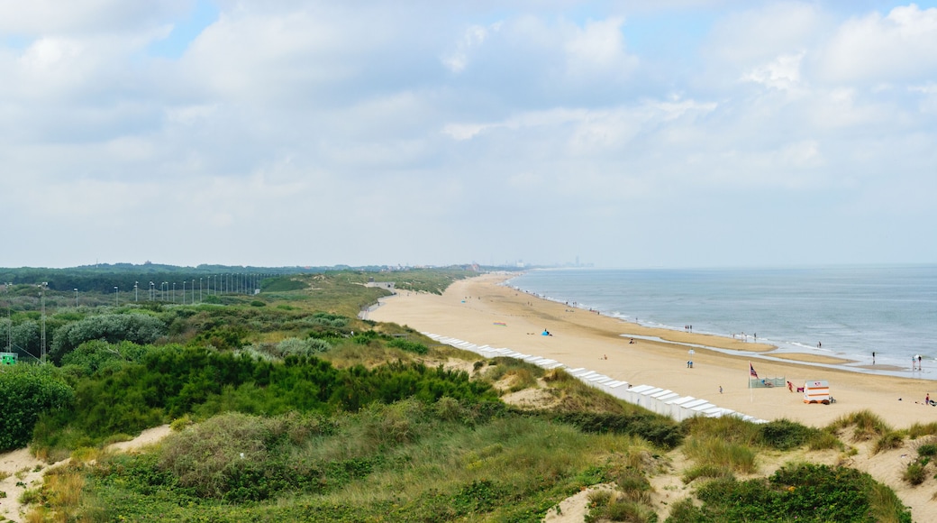 Panoramic seashore view West flanders Belgium