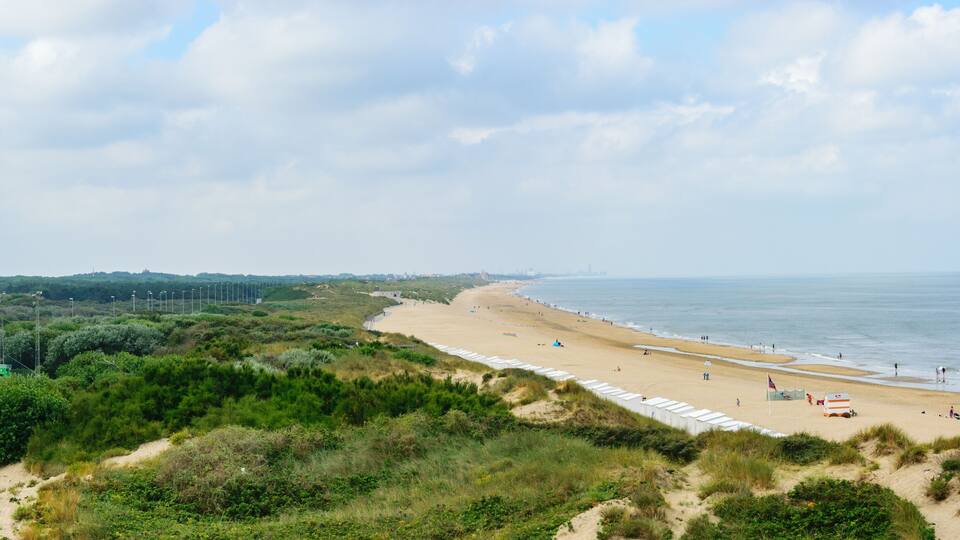 A coastal landscape with a sandy beach, dunes, and a distant city skyline.