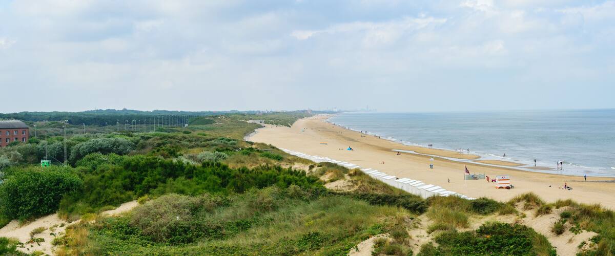 A coastal landscape with a sandy beach, dunes, and a distant city skyline.