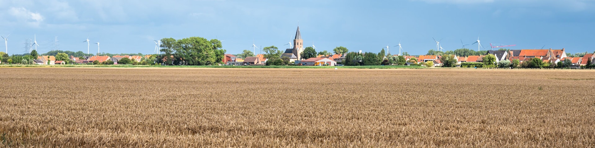 Wheat fields and the village of Zuienkerke, West Flanders, Belgium