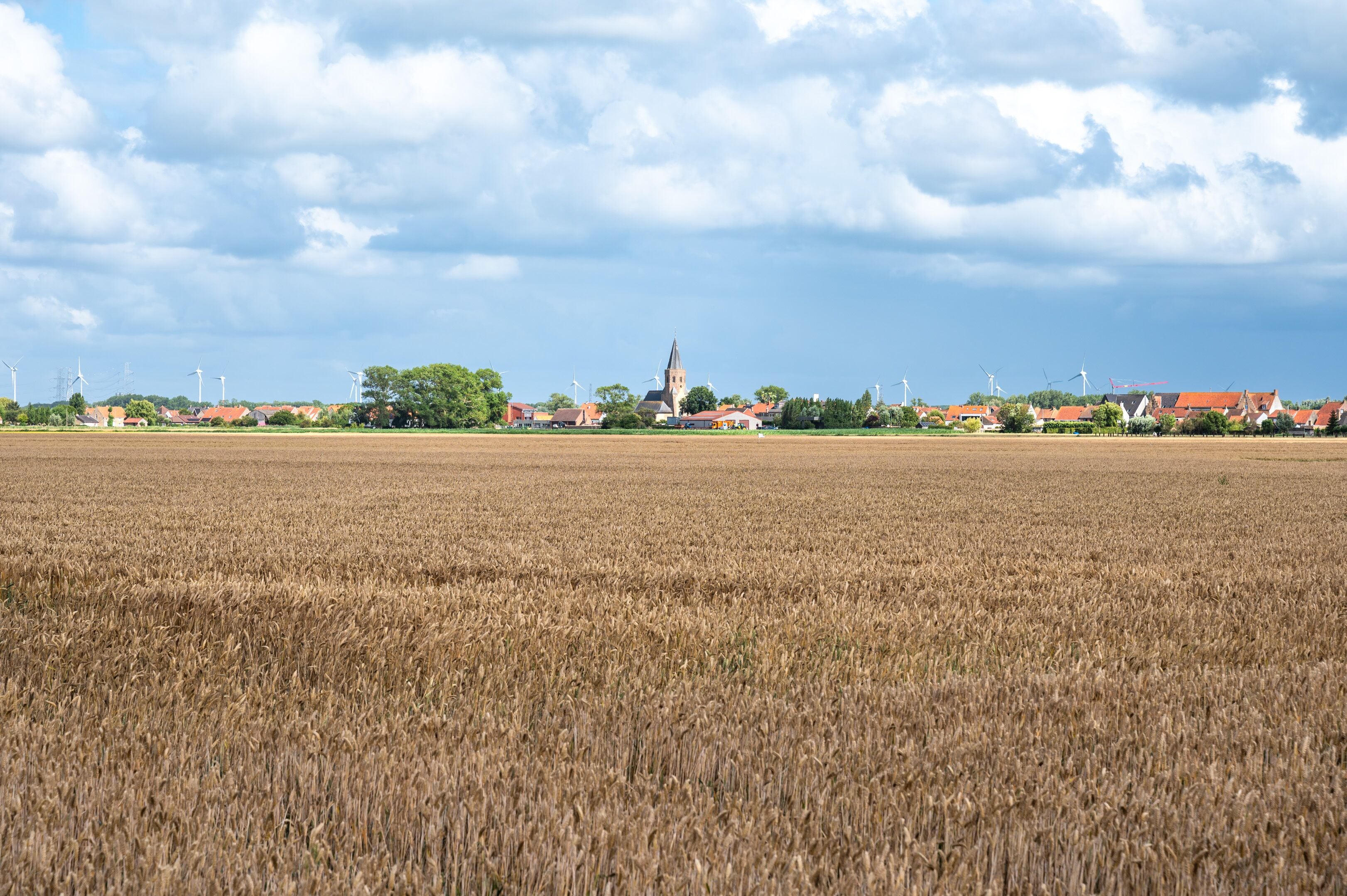 A rural landscape with a wind farm, a church, and houses.
